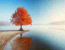 缓‌存﻿插​件​